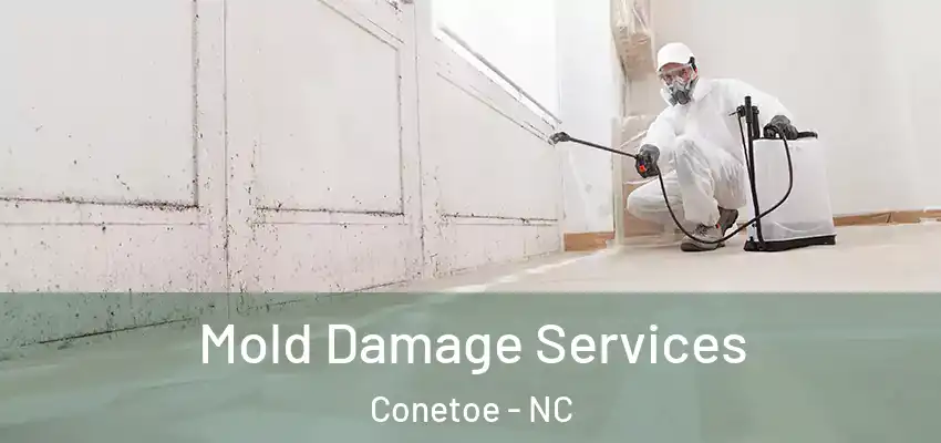  Mold Damage Services Conetoe - NC
