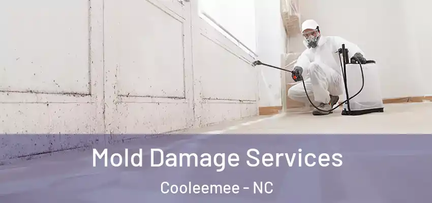 Mold Damage Services Cooleemee - NC