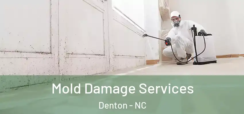 Mold Damage Services Denton - NC