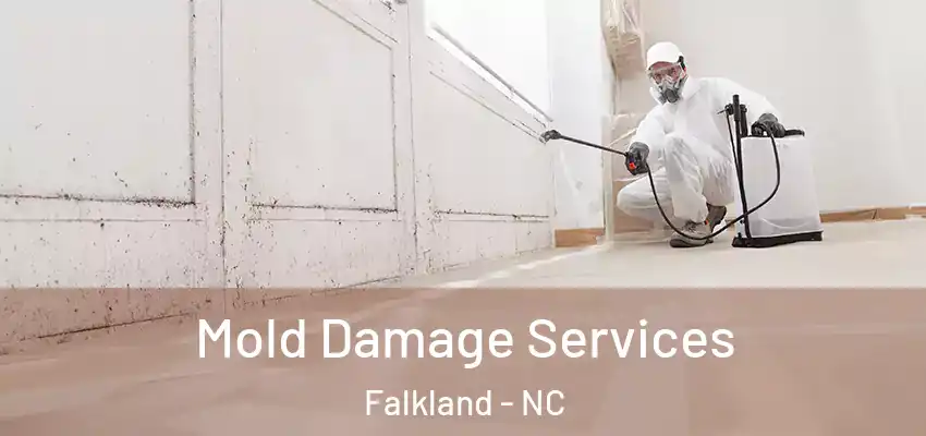  Mold Damage Services Falkland - NC