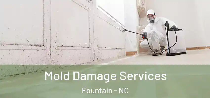 Mold Damage Services Fountain - NC