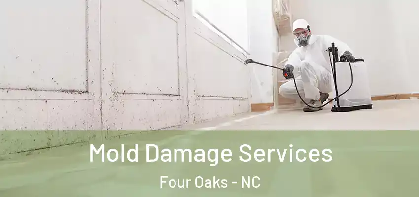  Mold Damage Services Four Oaks - NC