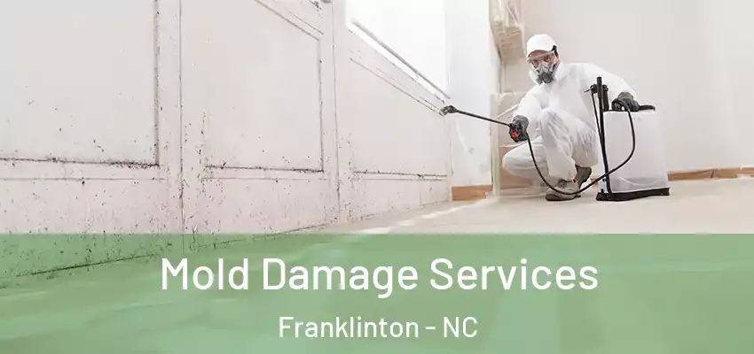  Mold Damage Services Franklinton - NC