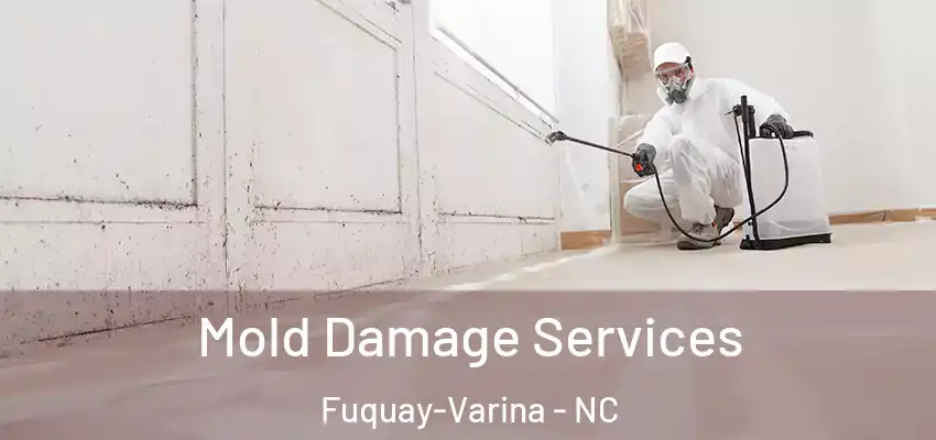  Mold Damage Services Fuquay-Varina - NC