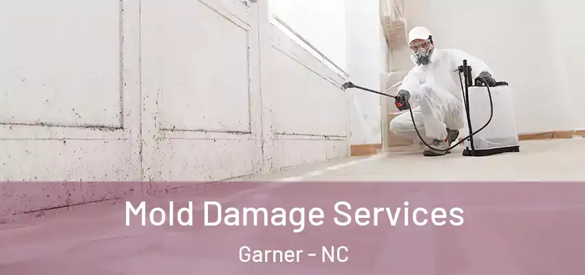  Mold Damage Services Garner - NC