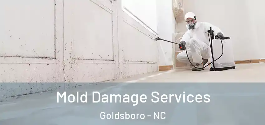  Mold Damage Services Goldsboro - NC