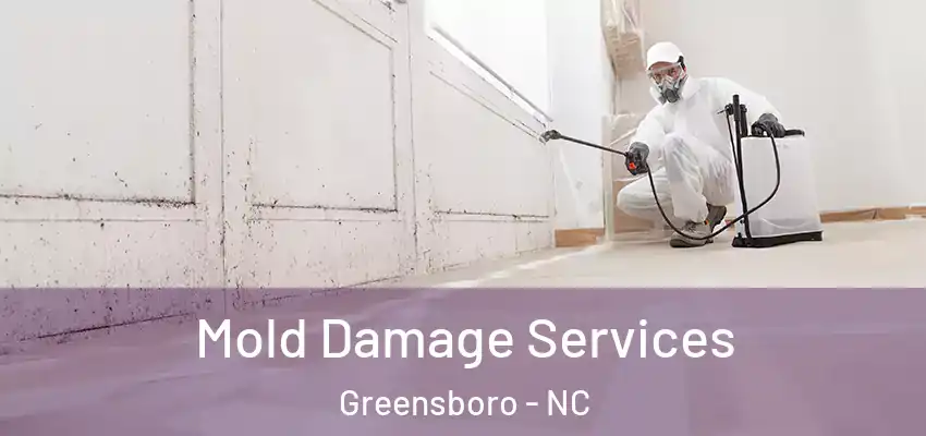  Mold Damage Services Greensboro - NC