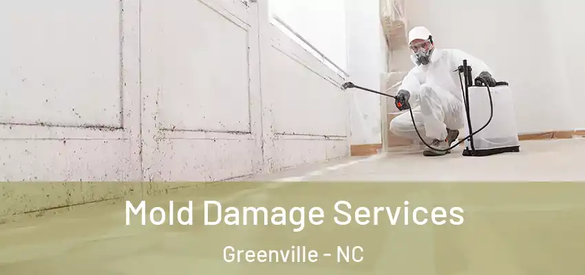  Mold Damage Services Greenville - NC