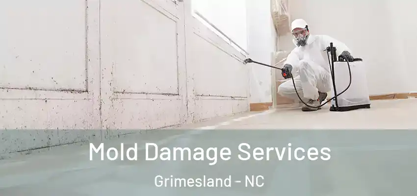 Mold Damage Services Grimesland - NC