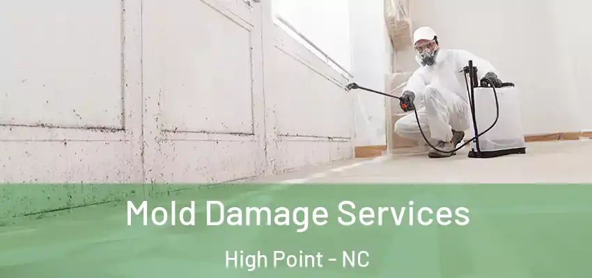  Mold Damage Services High Point - NC