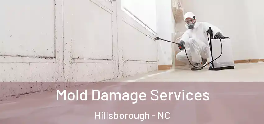  Mold Damage Services Hillsborough - NC