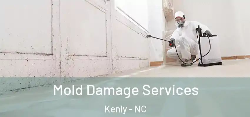  Mold Damage Services Kenly - NC