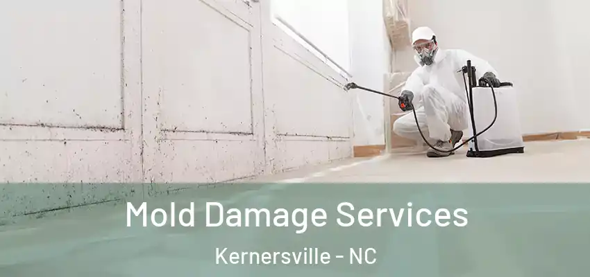  Mold Damage Services Kernersville - NC