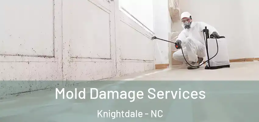  Mold Damage Services Knightdale - NC