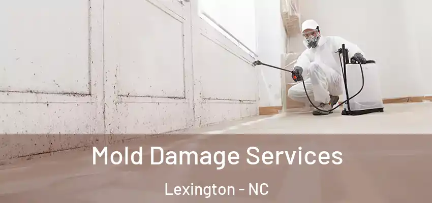  Mold Damage Services Lexington - NC