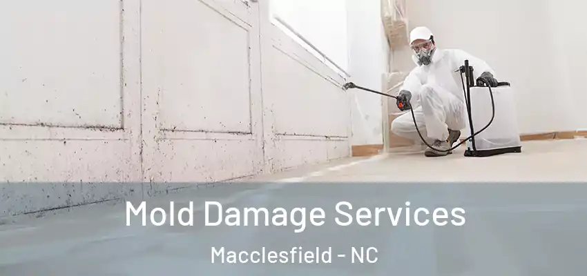  Mold Damage Services Macclesfield - NC