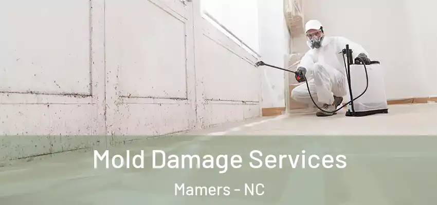 Mold Damage Services Mamers - NC
