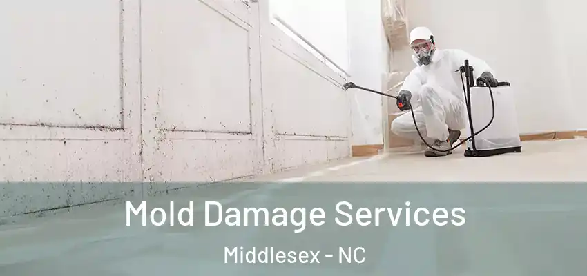  Mold Damage Services Middlesex - NC