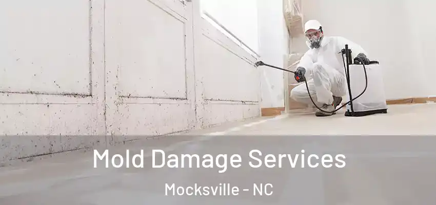 Mold Damage Services Mocksville - NC