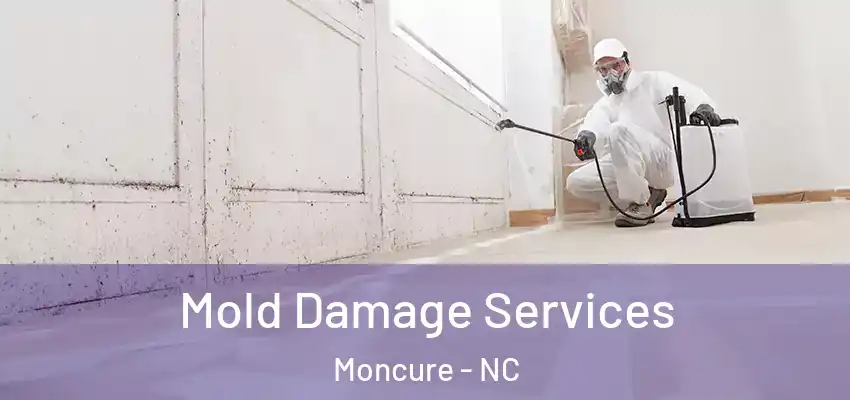  Mold Damage Services Moncure - NC