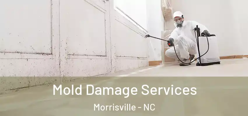  Mold Damage Services Morrisville - NC
