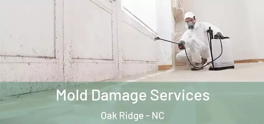  Mold Damage Services Oak Ridge - NC