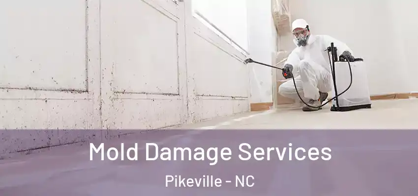  Mold Damage Services Pikeville - NC