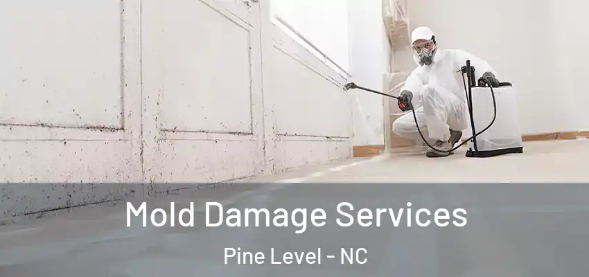  Mold Damage Services Pine Level - NC