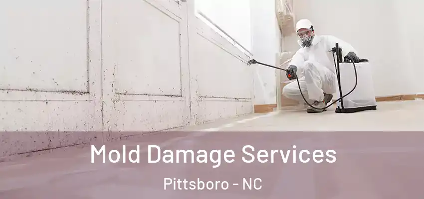 Mold Damage Services Pittsboro - NC