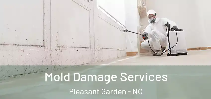  Mold Damage Services Pleasant Garden - NC