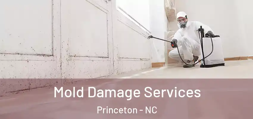  Mold Damage Services Princeton - NC