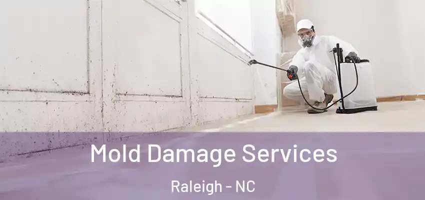 Mold Damage Services Raleigh - NC