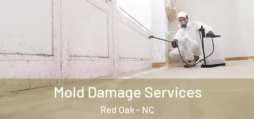 Mold Damage Services Red Oak - NC