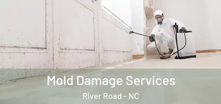 Mold Damage Services River Road - NC