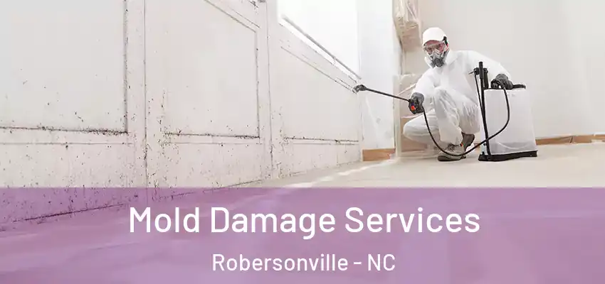 Mold Damage Services Robersonville - NC