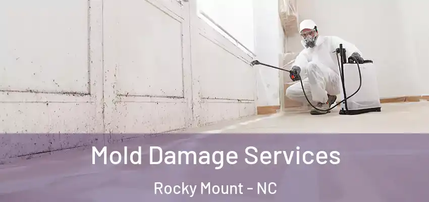  Mold Damage Services Rocky Mount - NC