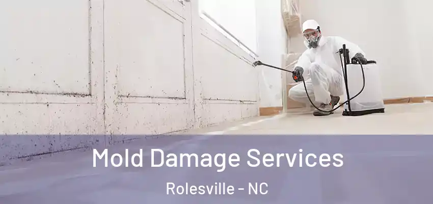 Mold Damage Services Rolesville - NC