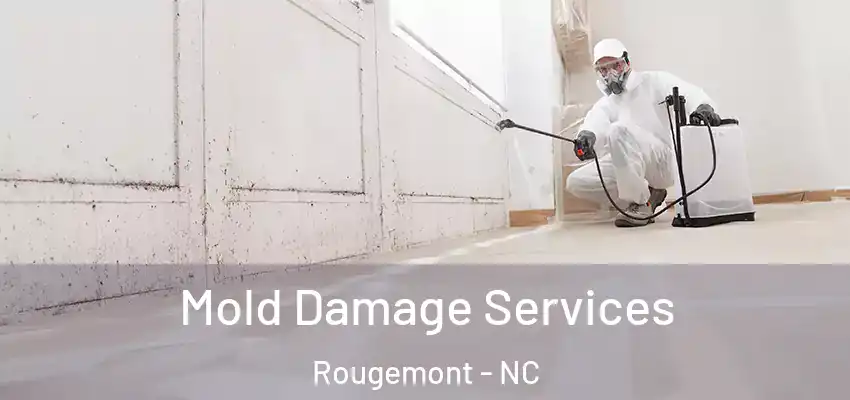  Mold Damage Services Rougemont - NC