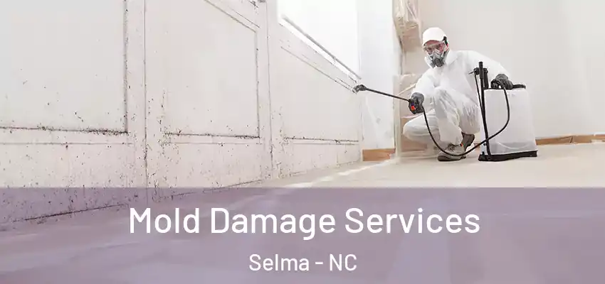  Mold Damage Services Selma - NC