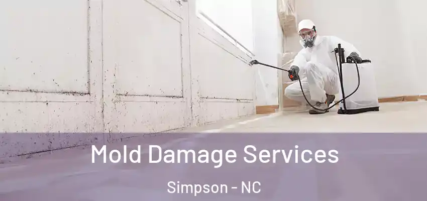  Mold Damage Services Simpson - NC