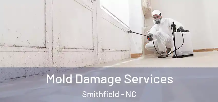  Mold Damage Services Smithfield - NC