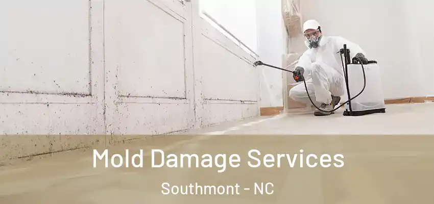  Mold Damage Services Southmont - NC