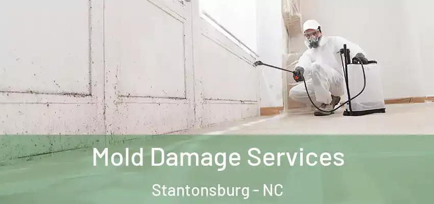 Mold Damage Services Stantonsburg - NC