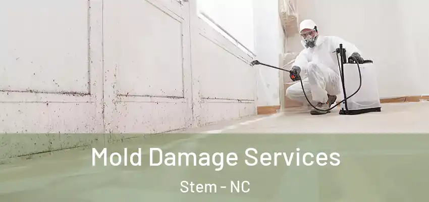  Mold Damage Services Stem - NC