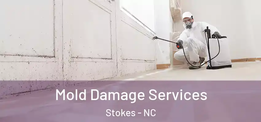  Mold Damage Services Stokes - NC
