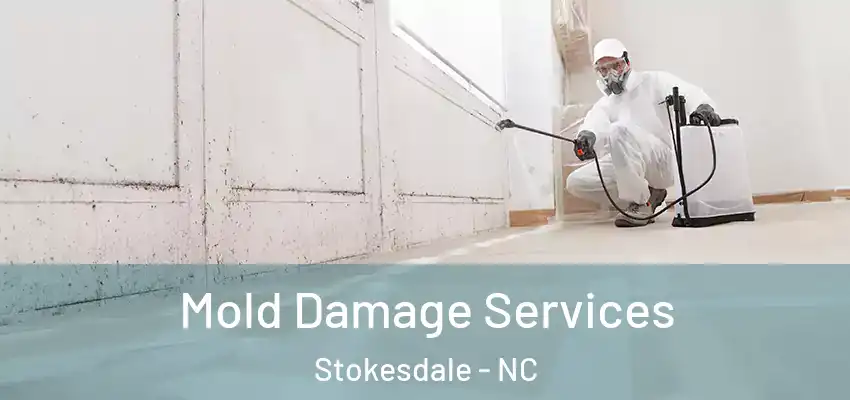  Mold Damage Services Stokesdale - NC