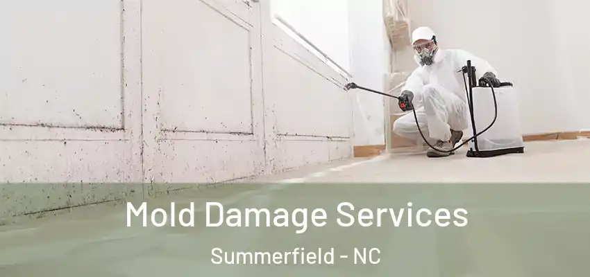  Mold Damage Services Summerfield - NC