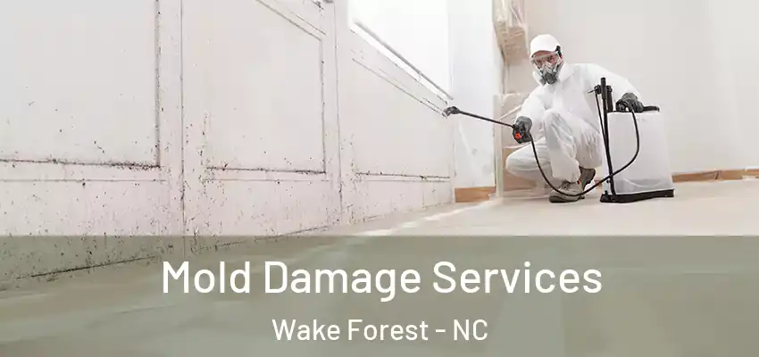  Mold Damage Services Wake Forest - NC