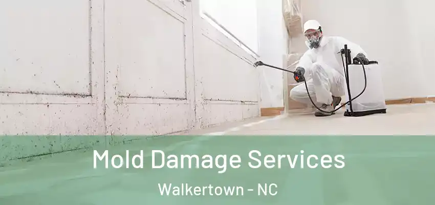  Mold Damage Services Walkertown - NC