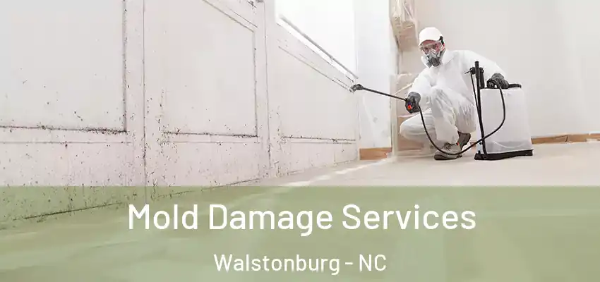 Mold Damage Services Walstonburg - NC